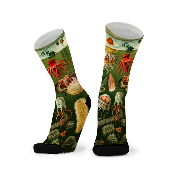 Tentacle Spectacle Sox