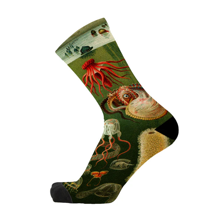 Tentacle Spectacle Sox