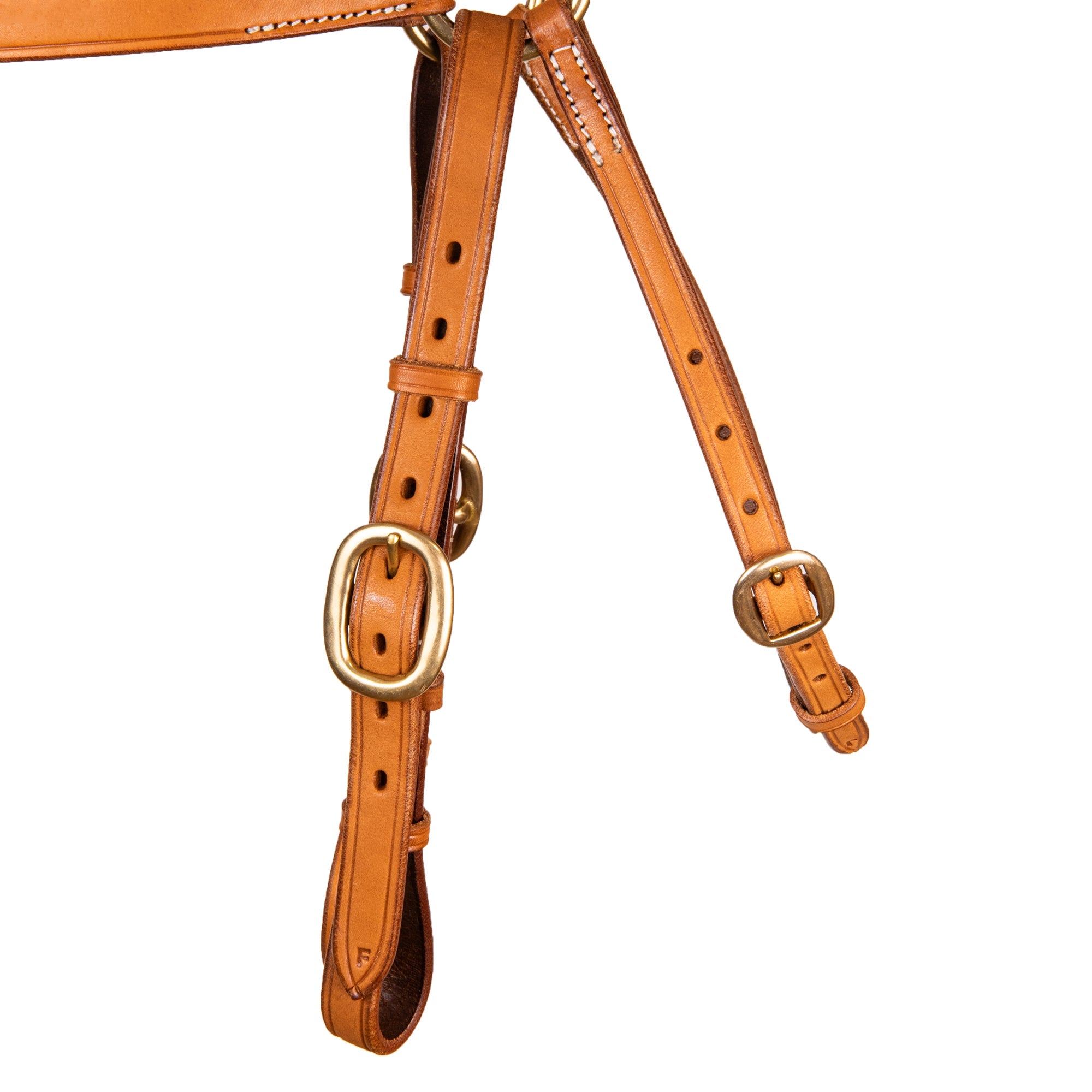 Syd Hill Barcoo Bridle Head
