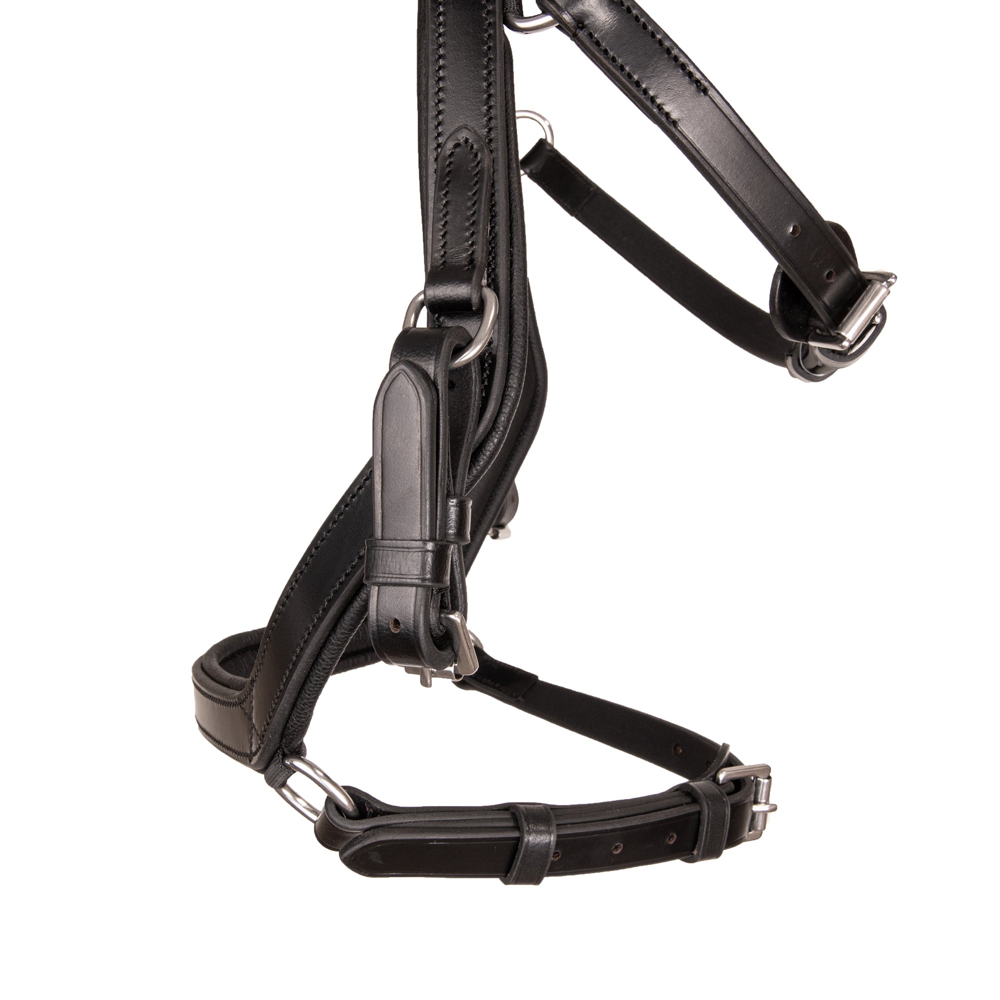 Syd Hill Anatomical Bridle