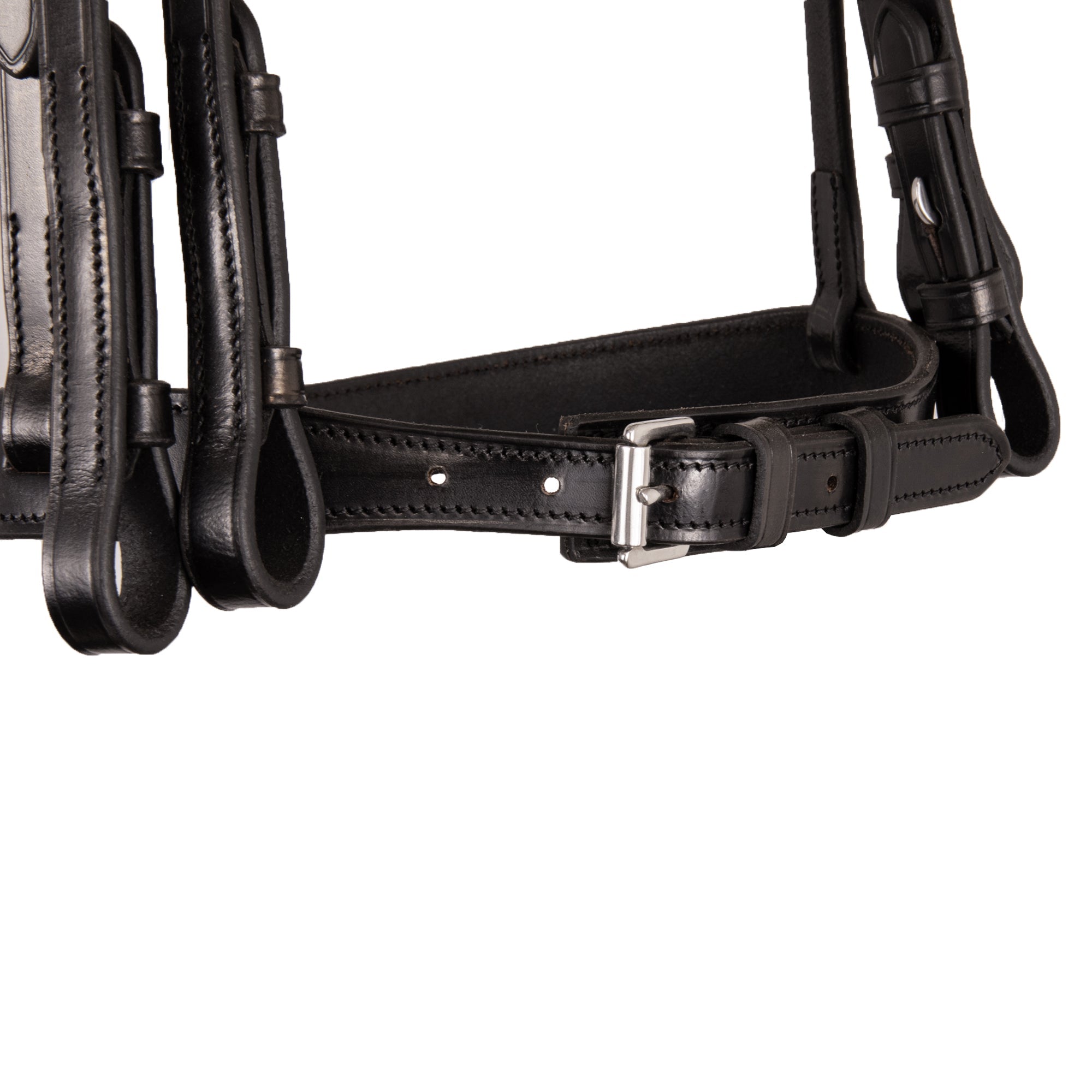 Syd Hill Raised Show Weymouth