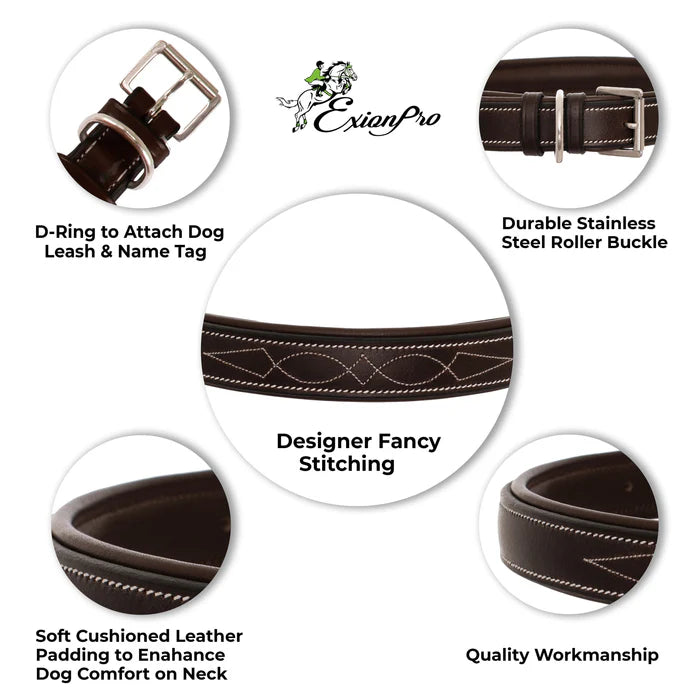 ExionPro Fancy Stitched Leather Dog Collar