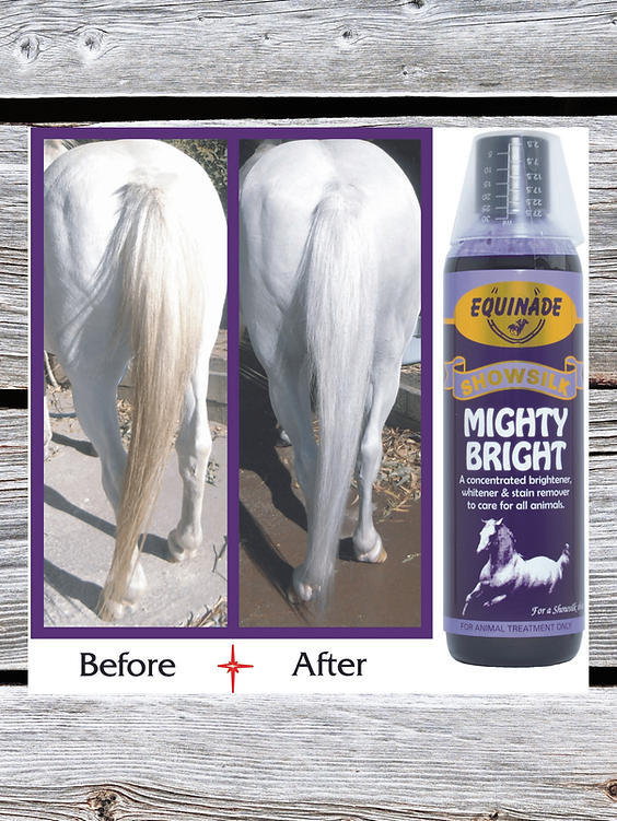 Equinade Showsilk Mighty Bright 125ml