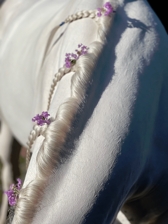 Equinade Showsilk Mighty Bright 125ml