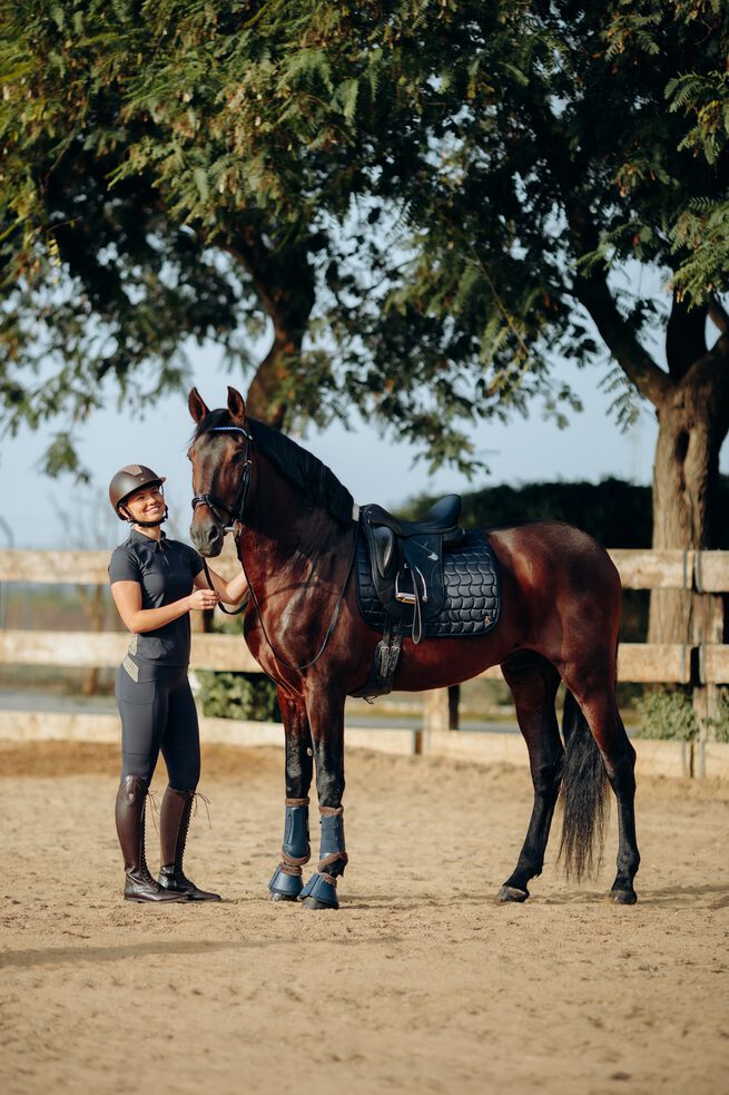Horze Houston GP Pad VDB Full