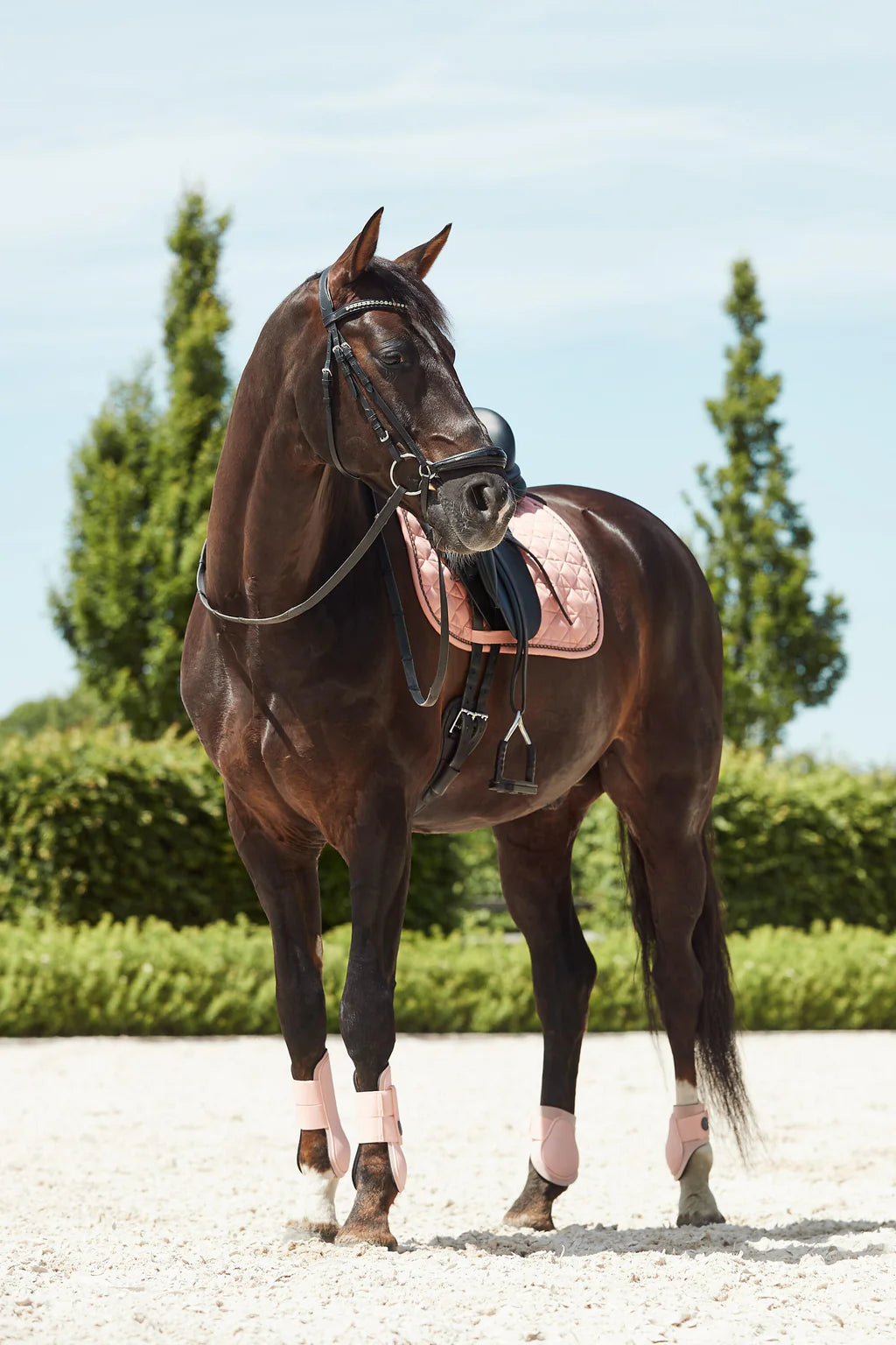 Horze Coventry Dressage Saddle Pad Coral Pink Full