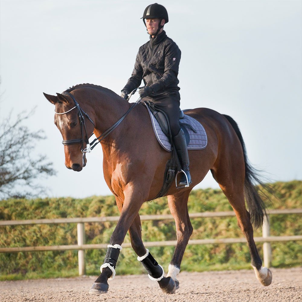 Horze Signature Brushing Boots