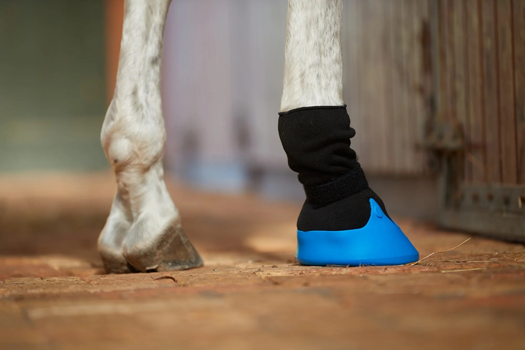Tubbease Hoof Sock