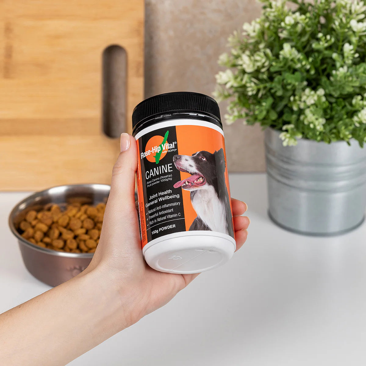 Rose Hip Vital K9 500gm