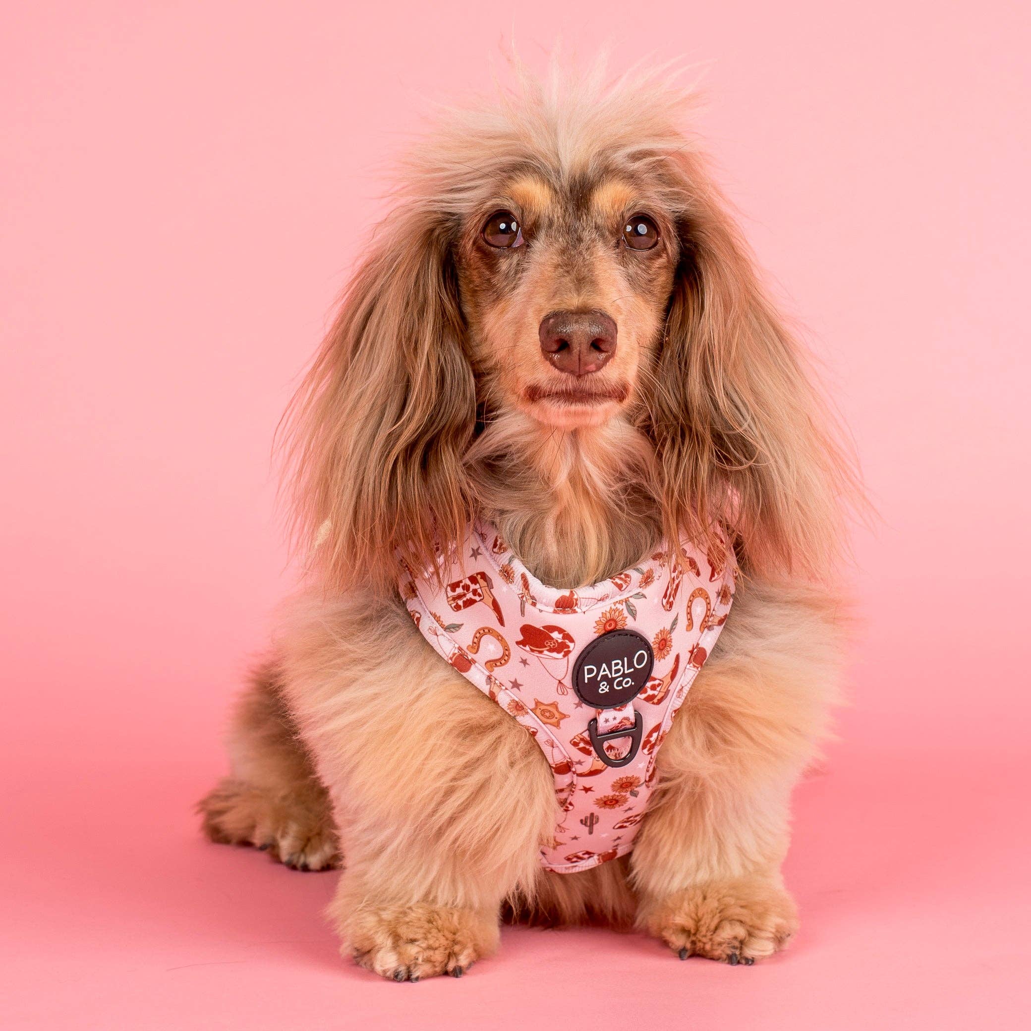 Howdy: Adjustable Harness