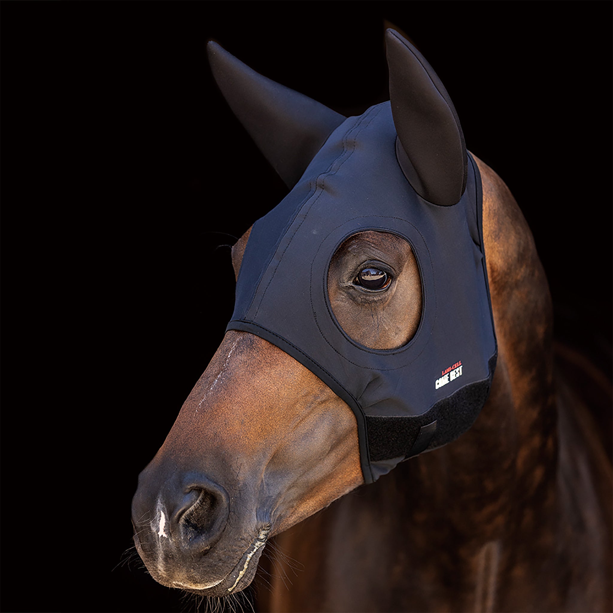 Lami-cell Come Best Titanium Hood With Ears