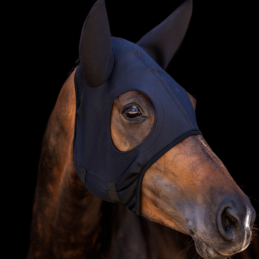 Lami-Cell Come Best Titanium Hood with Ears
