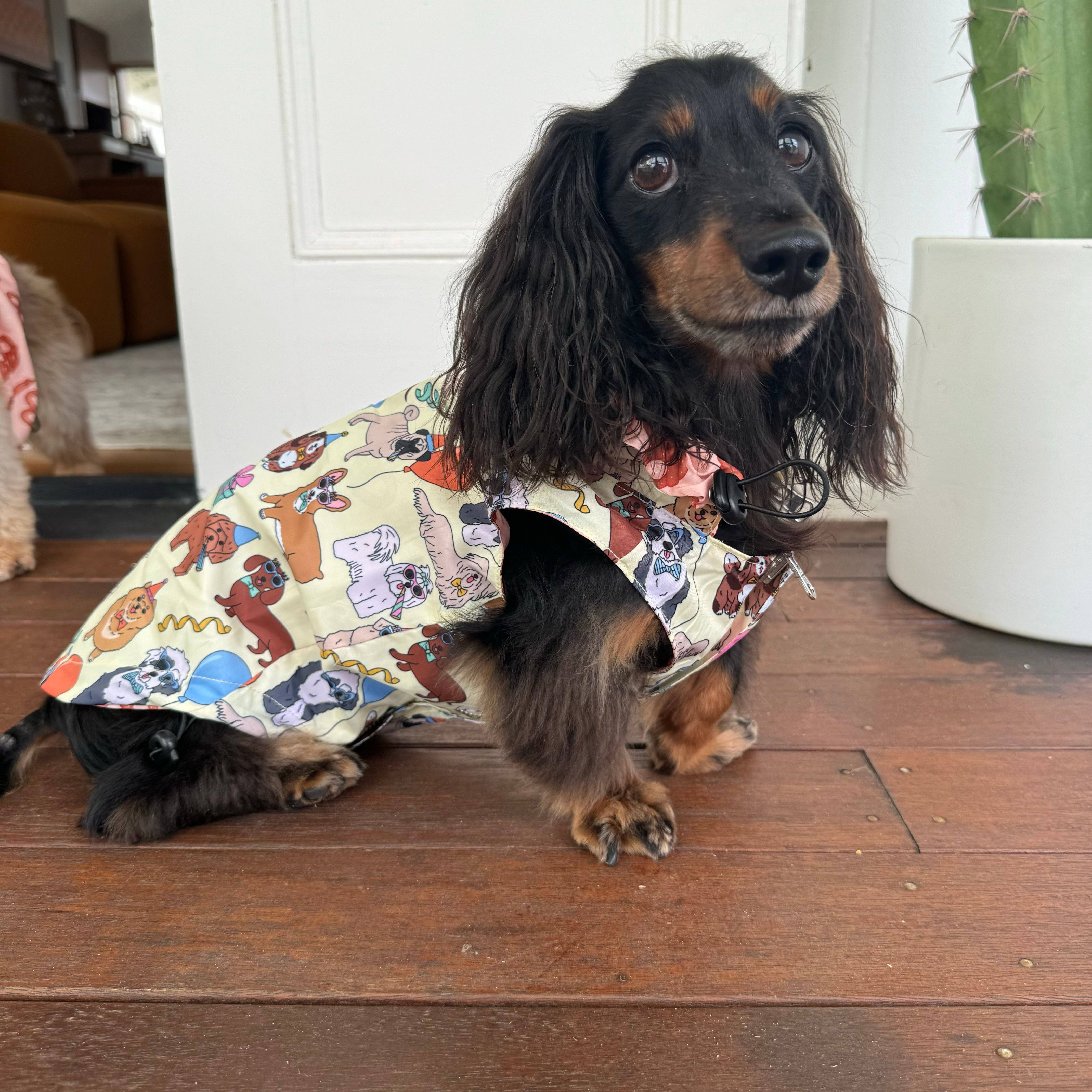 Party Dawgs / Pretzels: Reversible Dog Raincoat