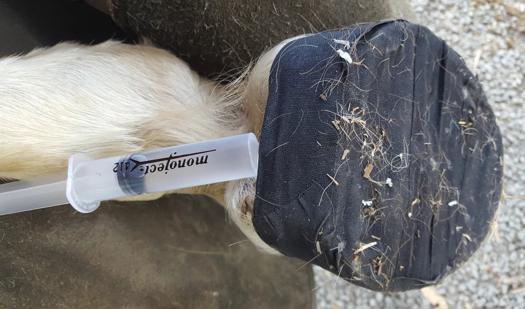 The Hoof Co Mueller Tape