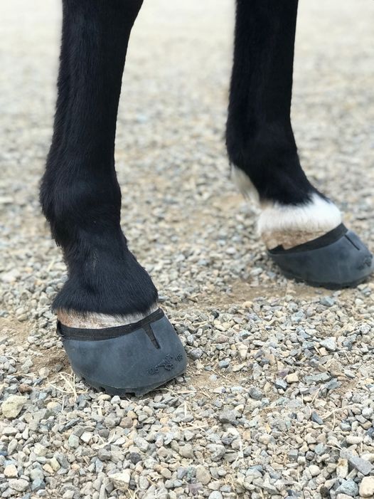 The Hoof Co Mueller Tape