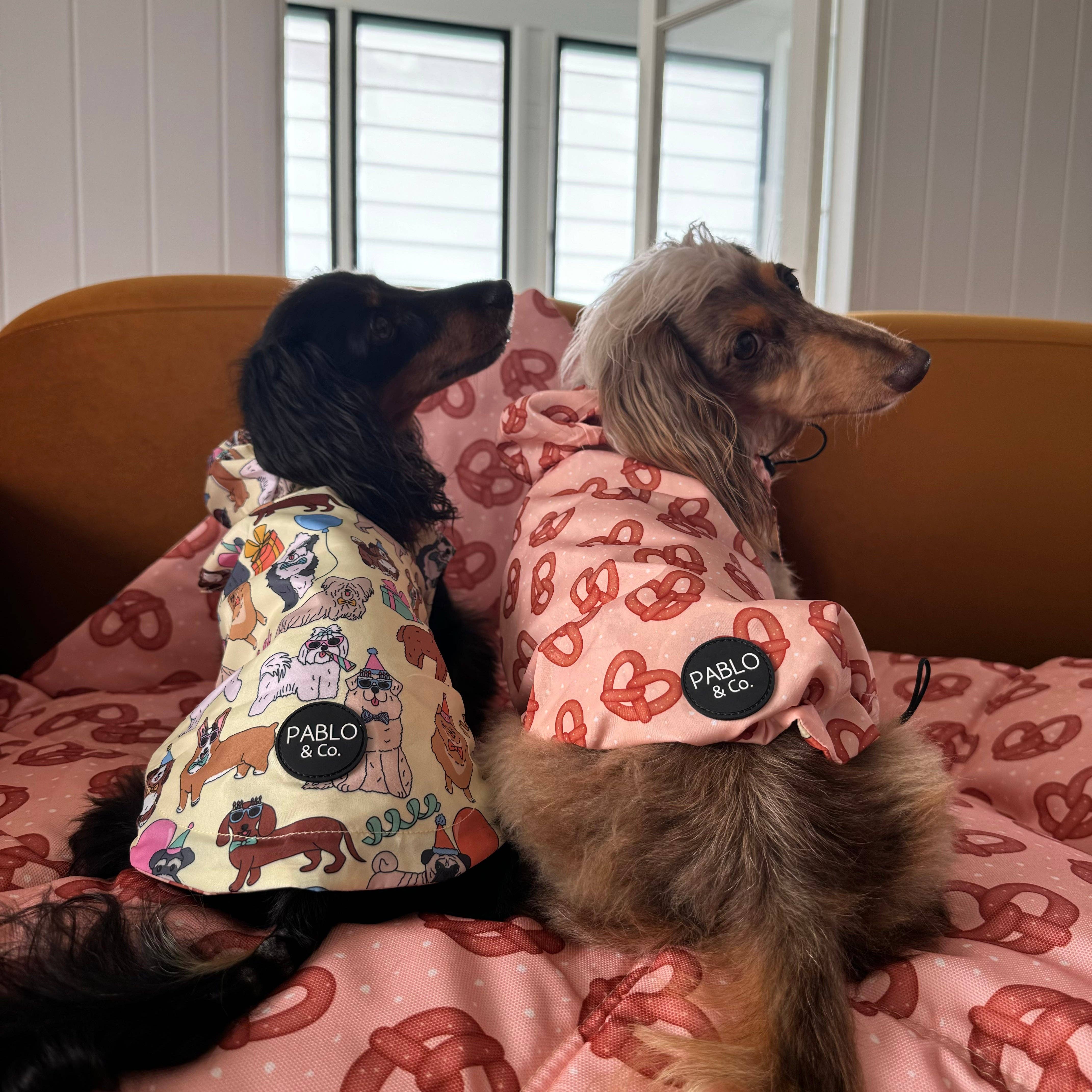 Party Dawgs / Pretzels: Reversible Dog Raincoat