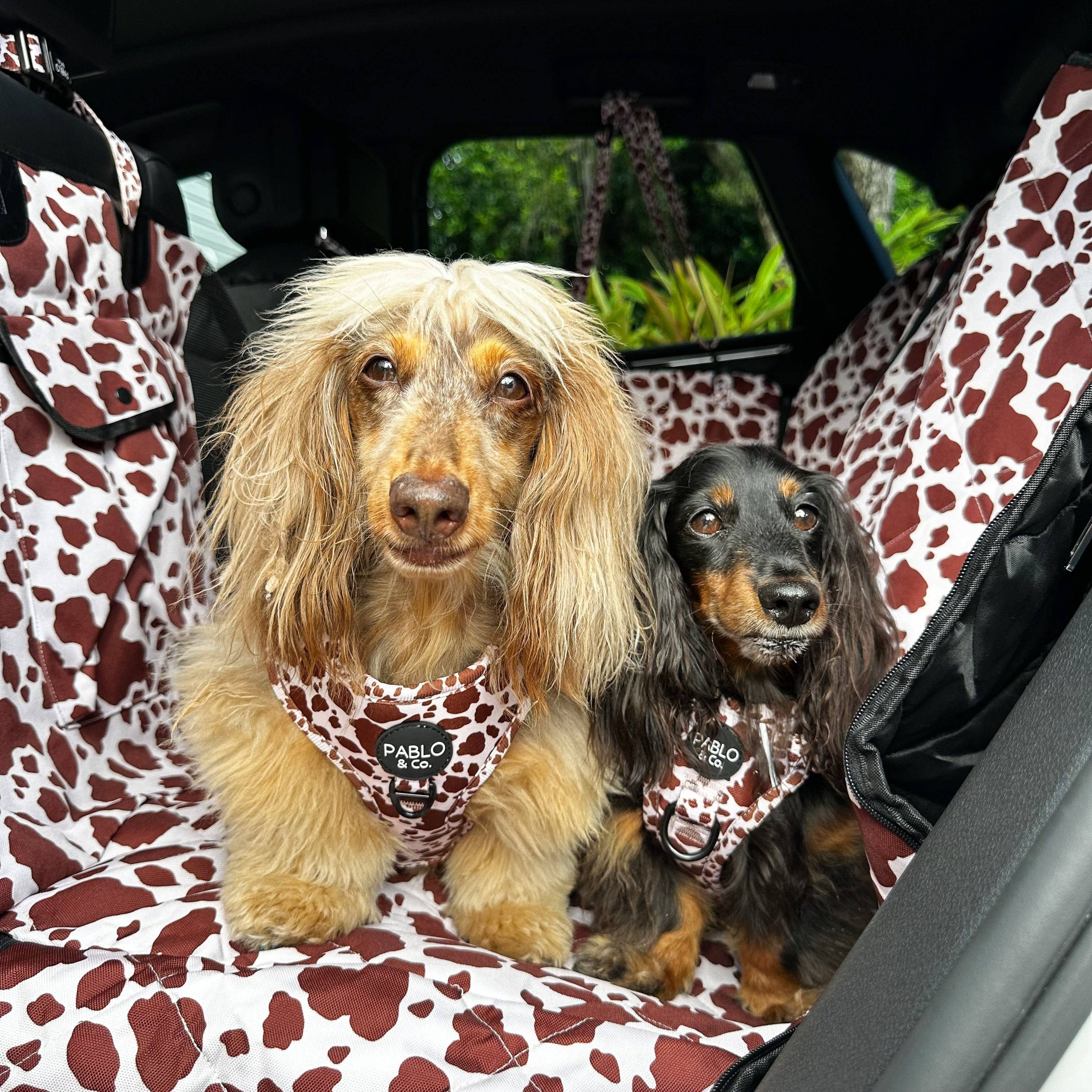 Rodeo: Deluxe Hammock Car Seat Cover