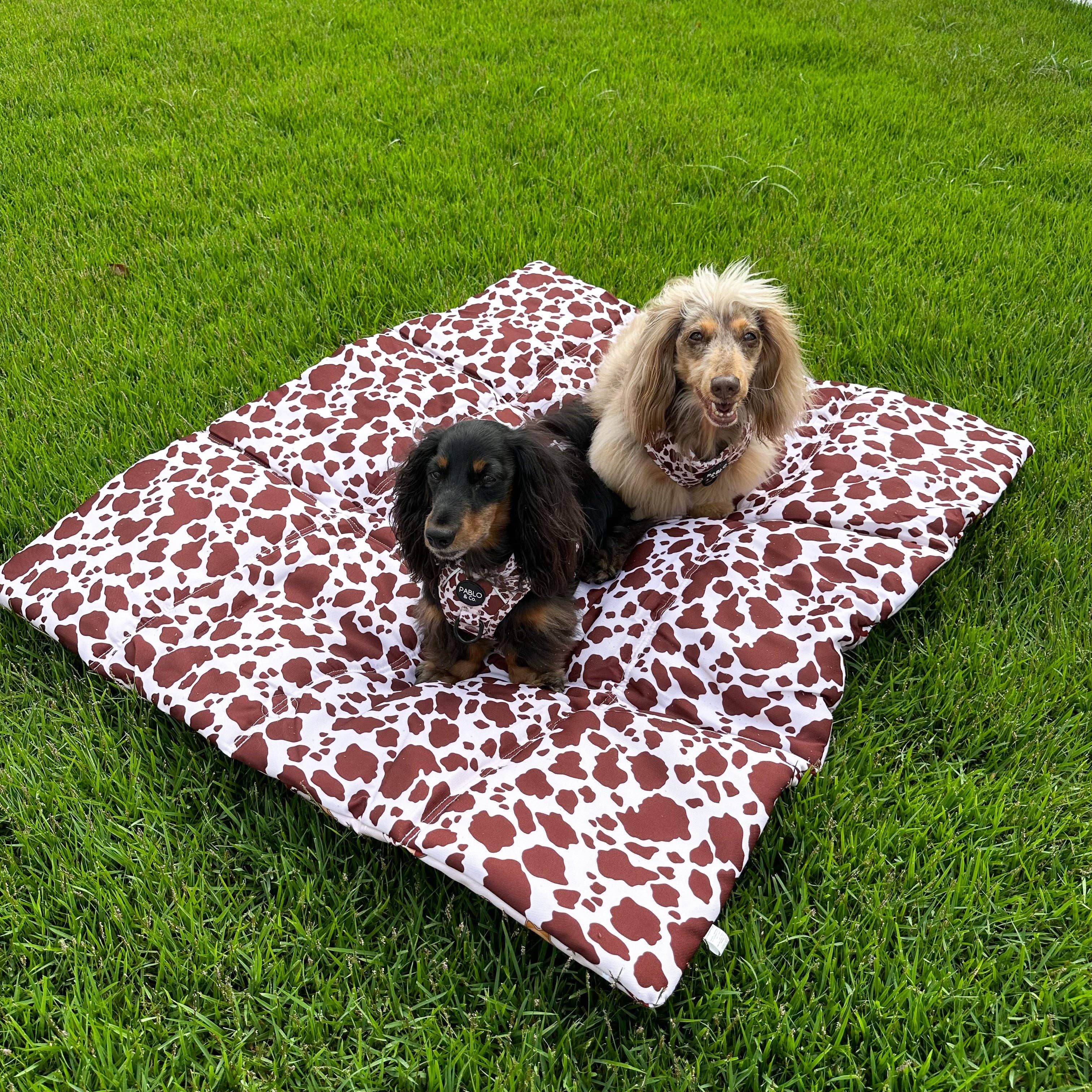 Deluxe Travel Mat: Howdy / Rodeo