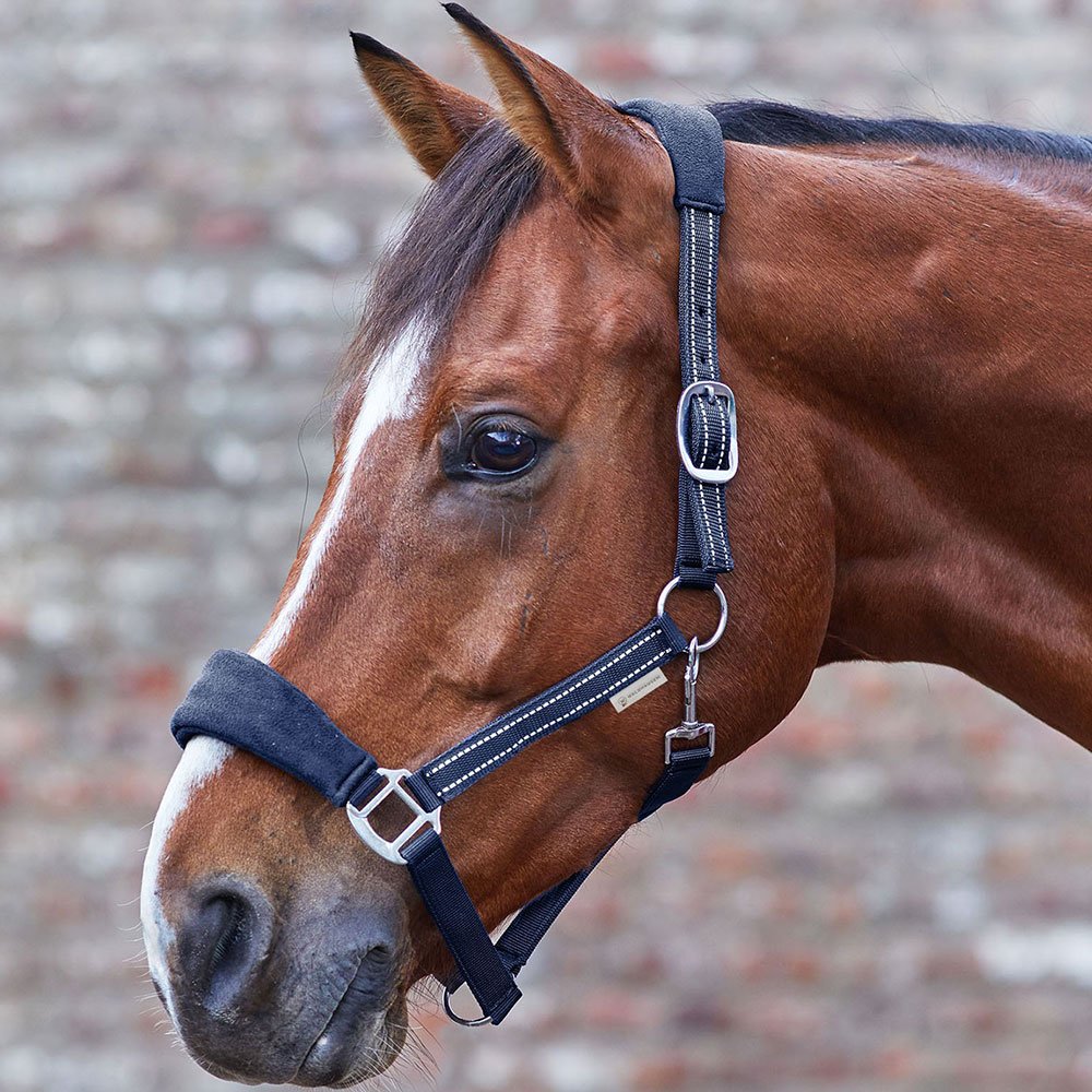 Waldhausen Alcantara Halter