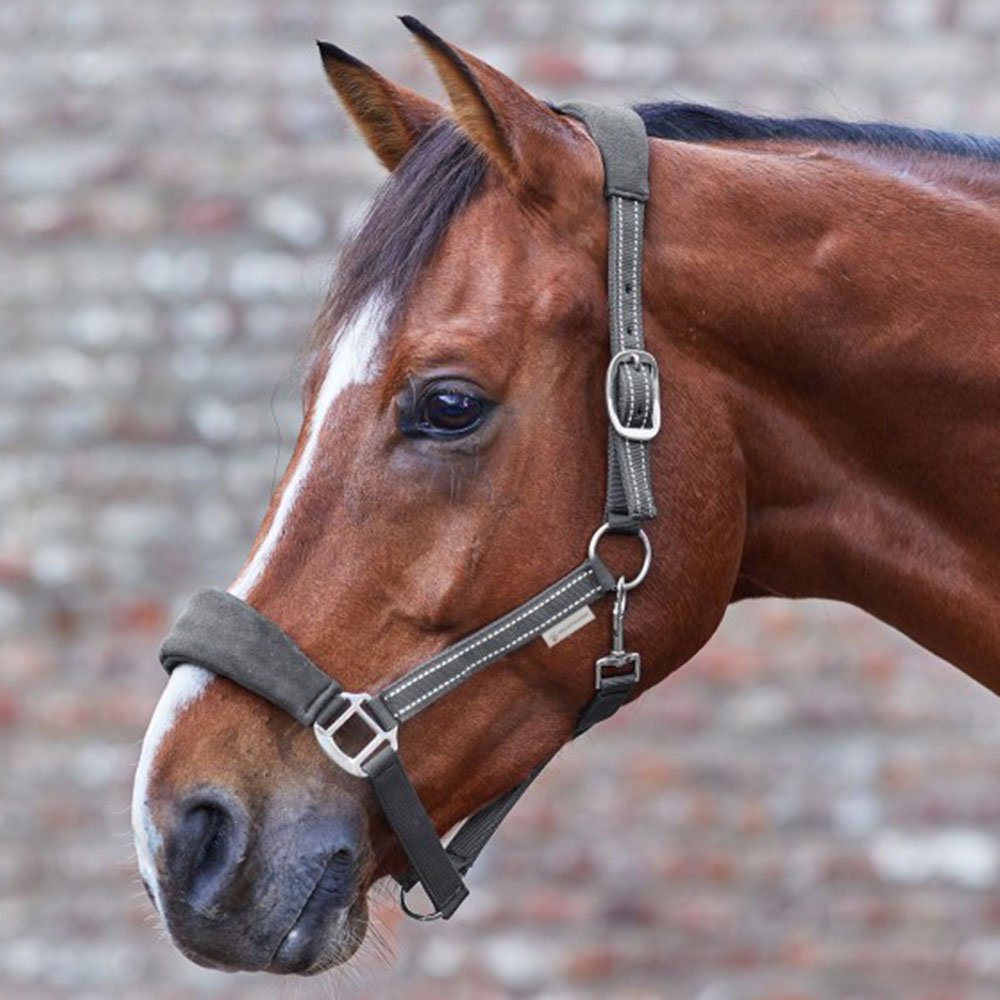 Waldhausen Alcantara Halter