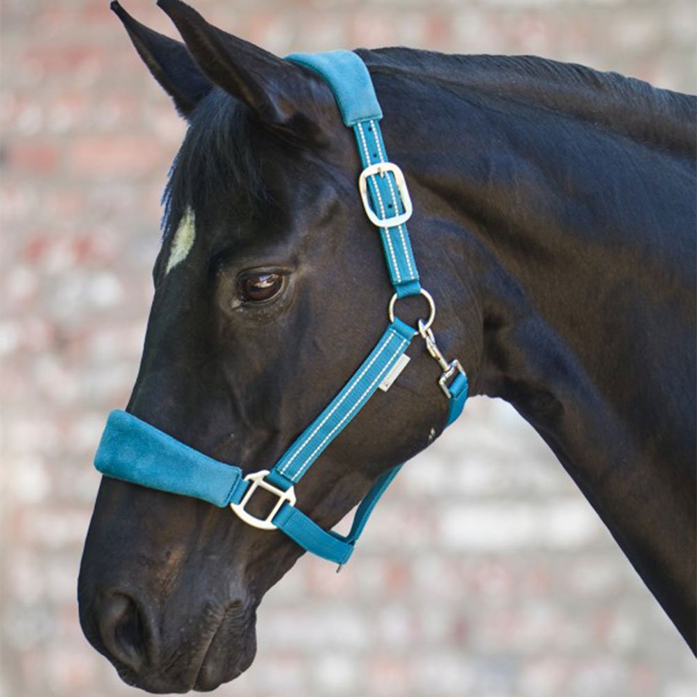 Waldhausen Alcantara Halter