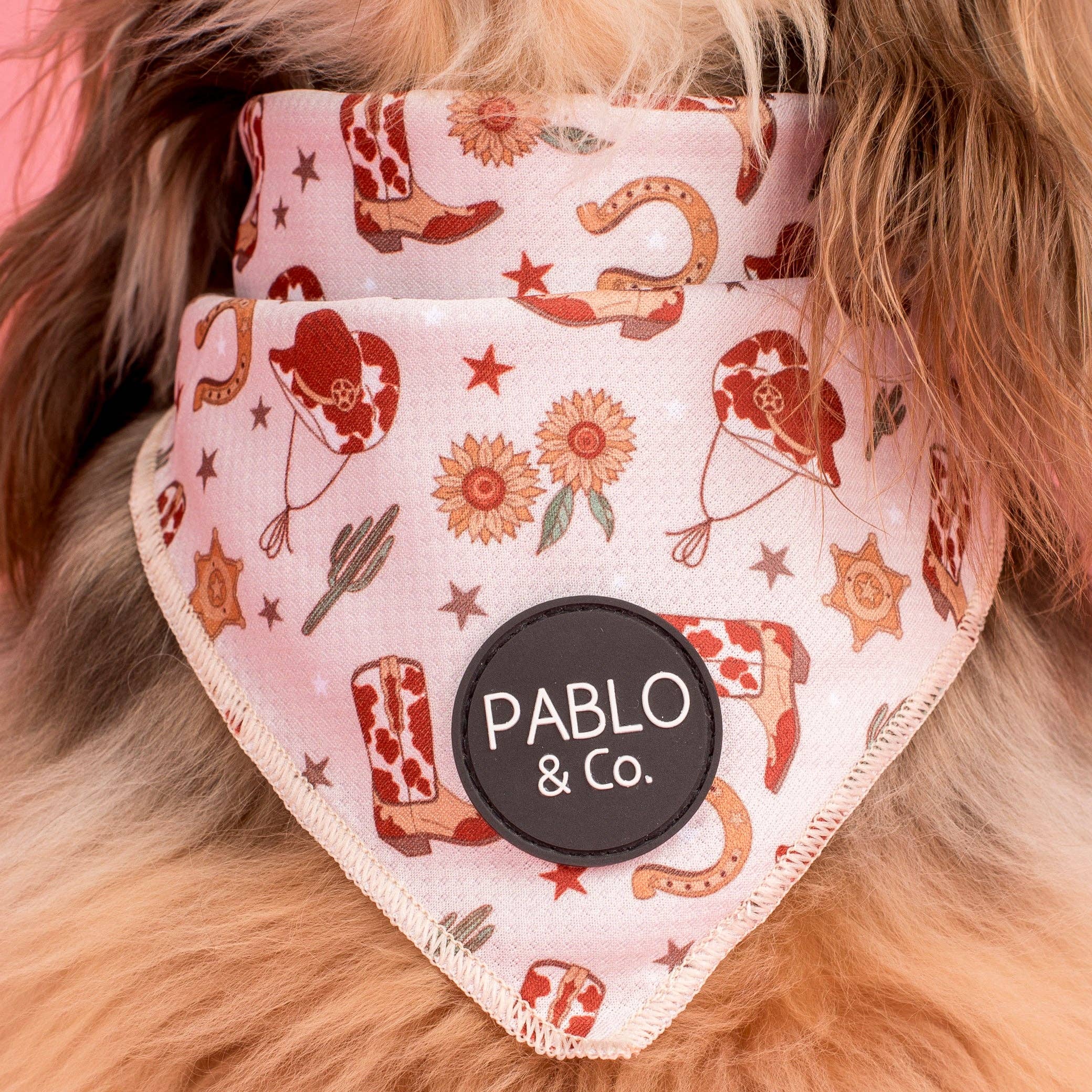 Howdy: Dog Bandana