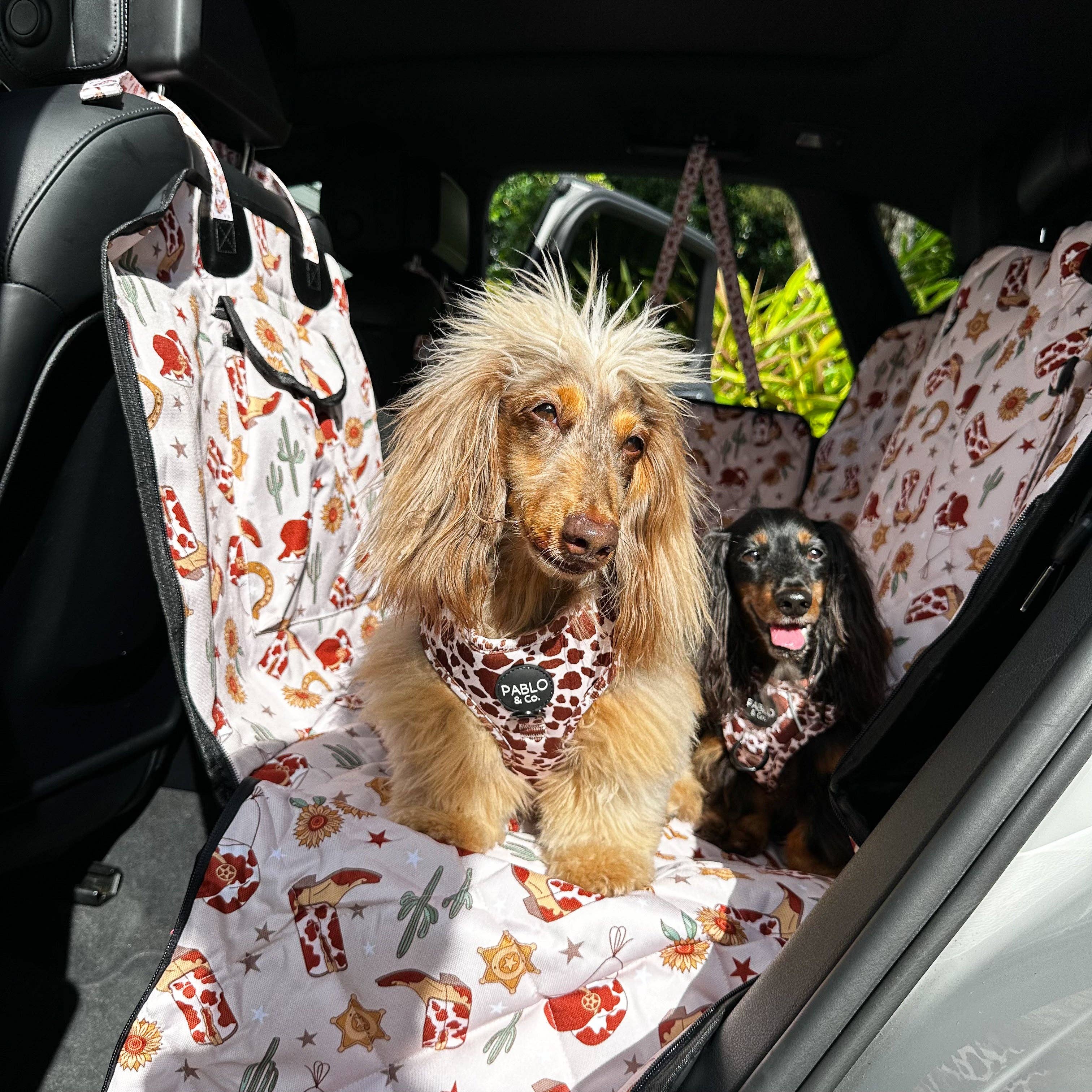 Howdy: Deluxe Hammock Car Seat Cover