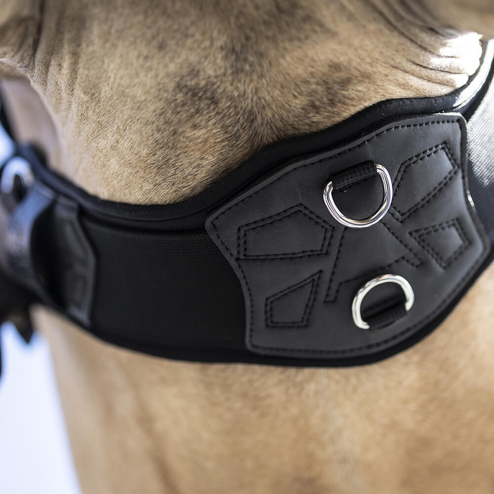 Lami-Cell V22 ProMotion Western Cinch Girth