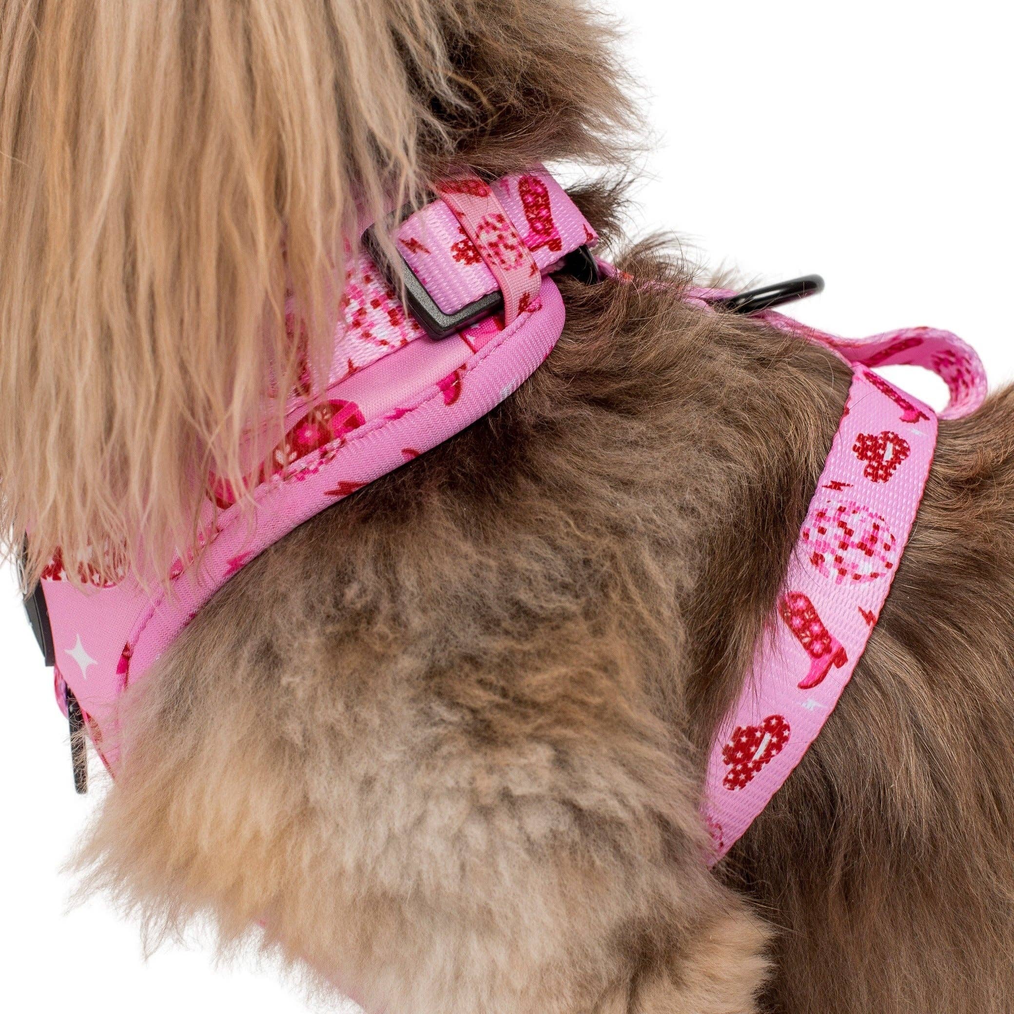 Disco Cowgirl: Adjustable Dog Harness