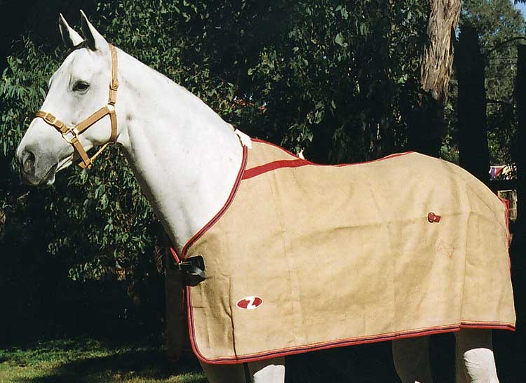 Zilco Jute Rug