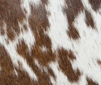 Cabin Size Cowhide Travel Bag - Europe (B69816)