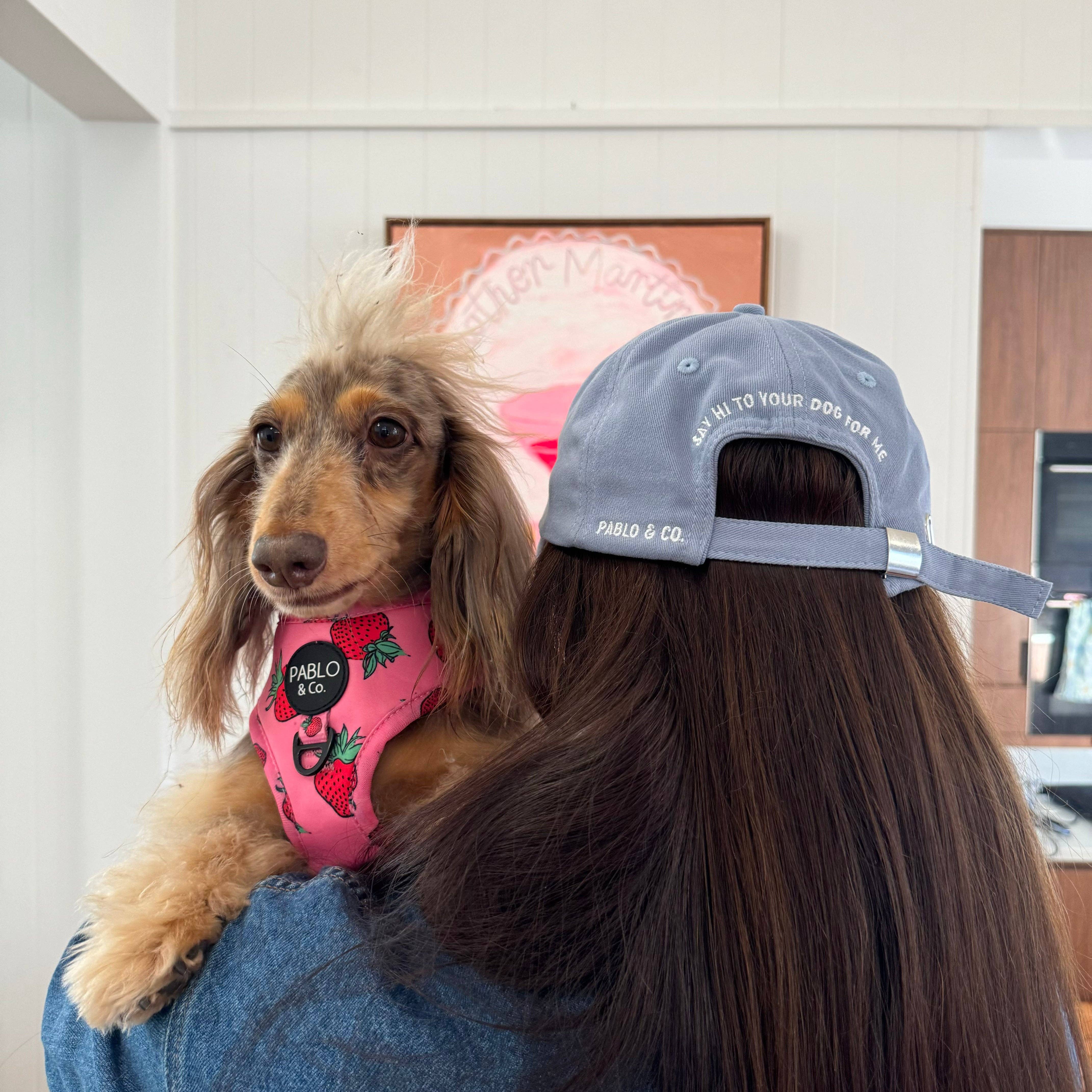 Send Dog Pics' Baseball Cap