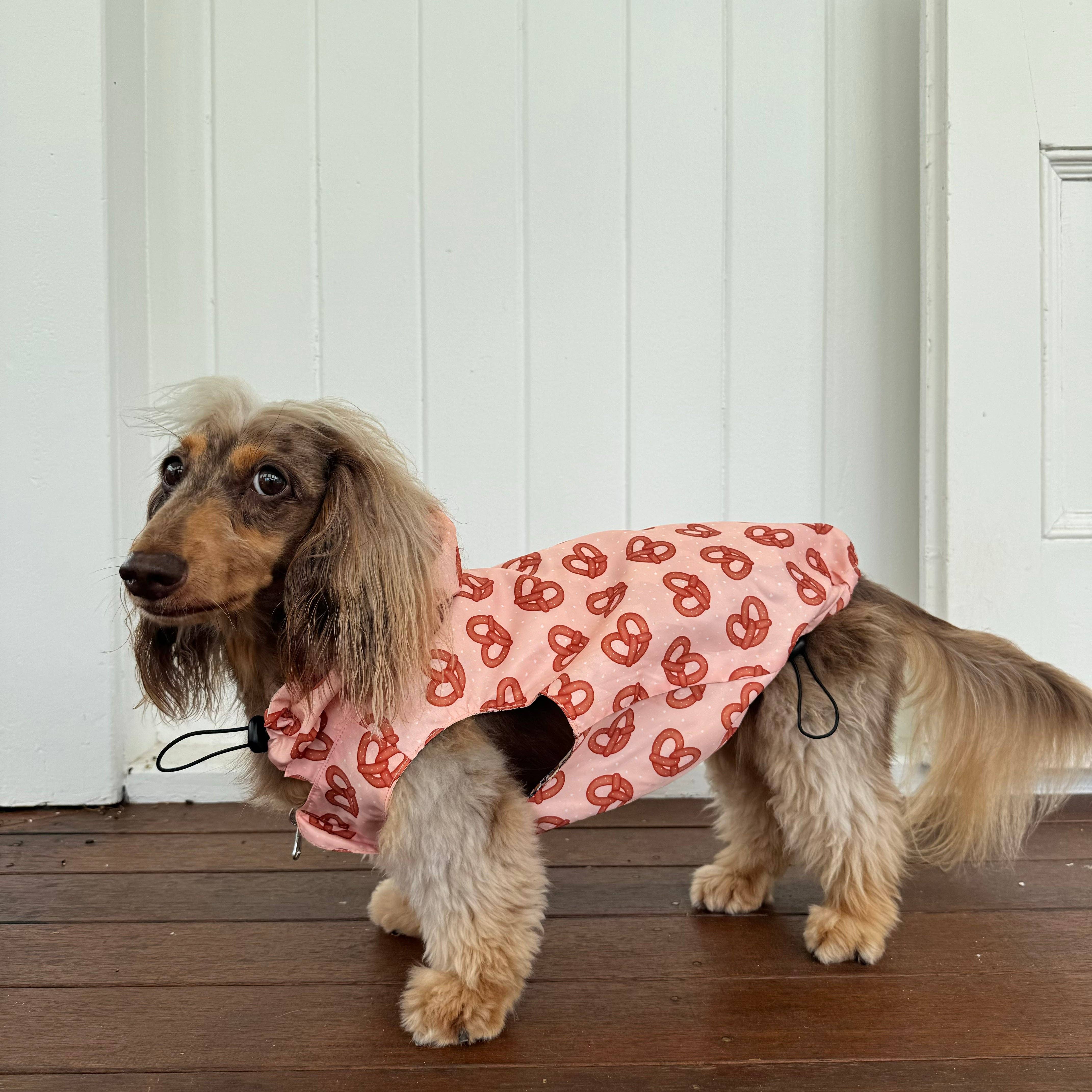 Party Dawgs / Pretzels: Reversible Dog Raincoat