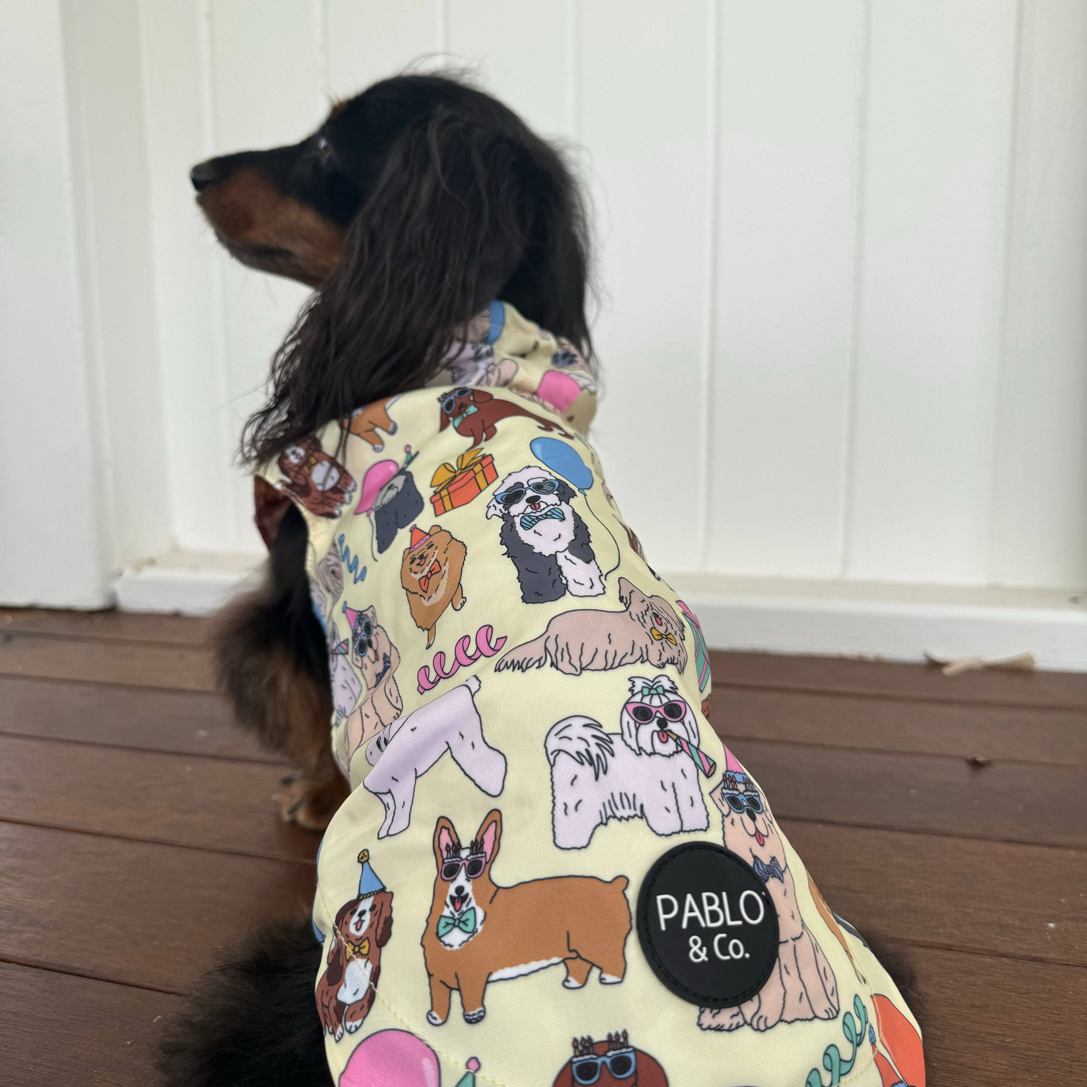 Party Dawgs / Pretzels: Reversible Dog Raincoat