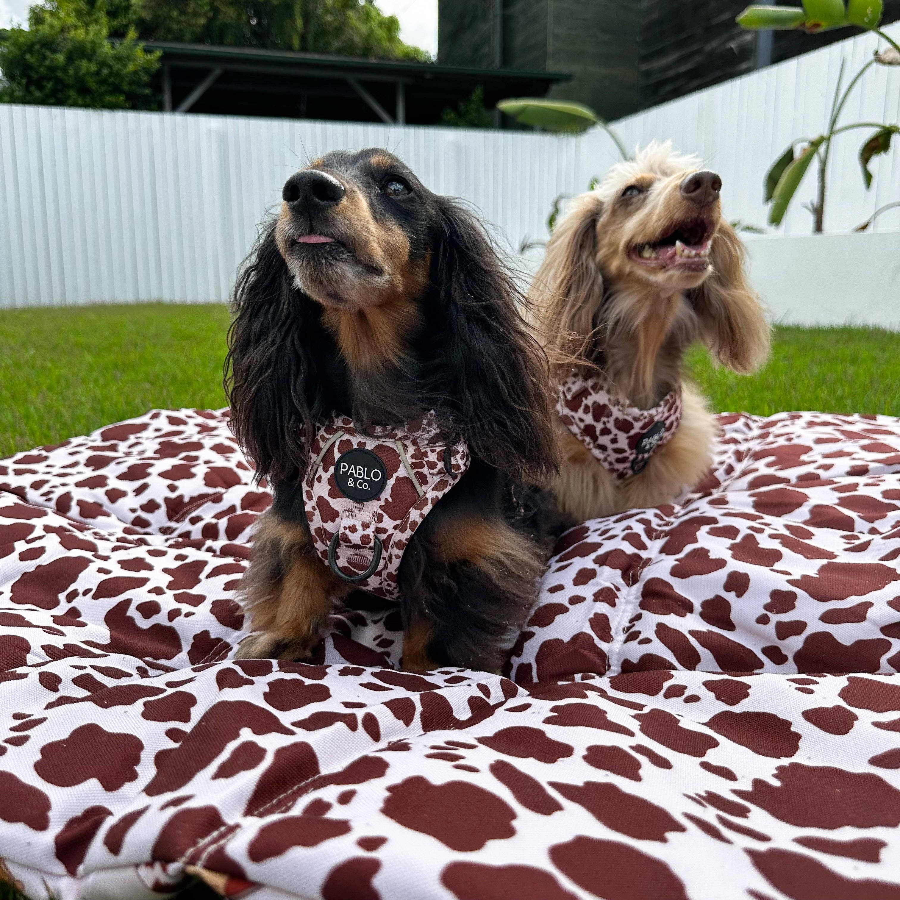 Deluxe Travel Mat: Howdy / Rodeo