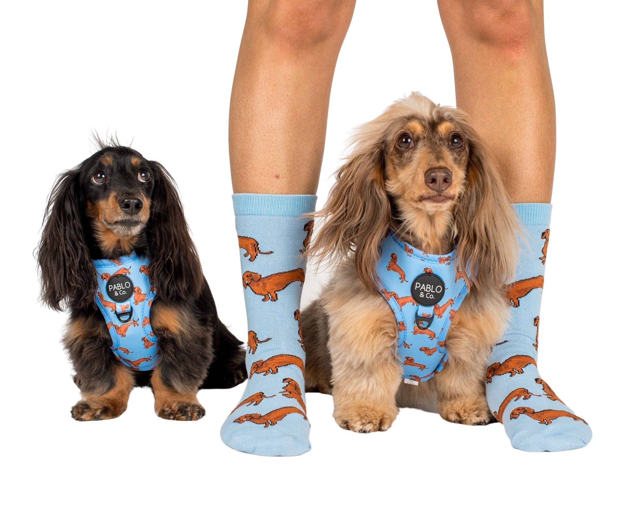 Dog Breed Socks