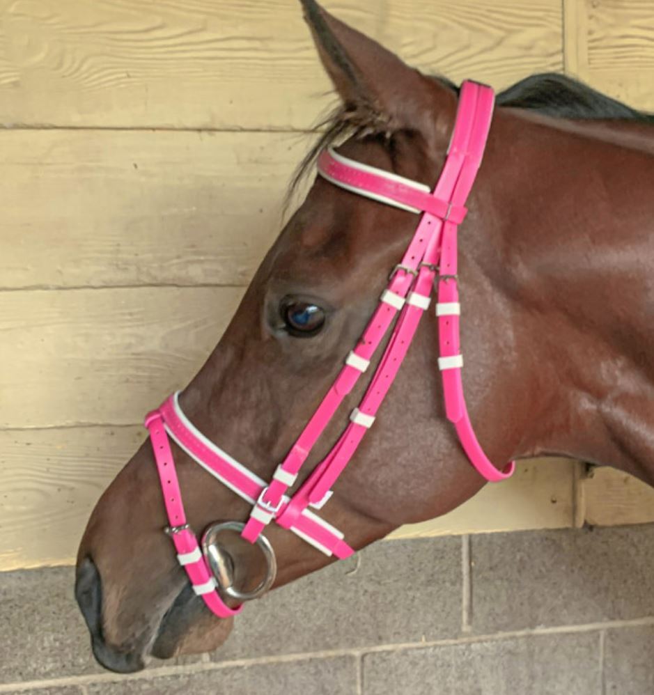 PVC Bridle Head SS Cerise Pink Shetland