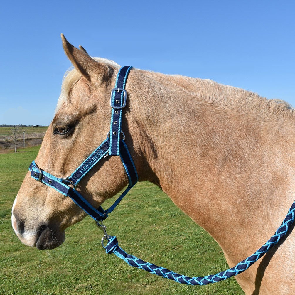 Eurohunter Comfort Halter & Lead Set