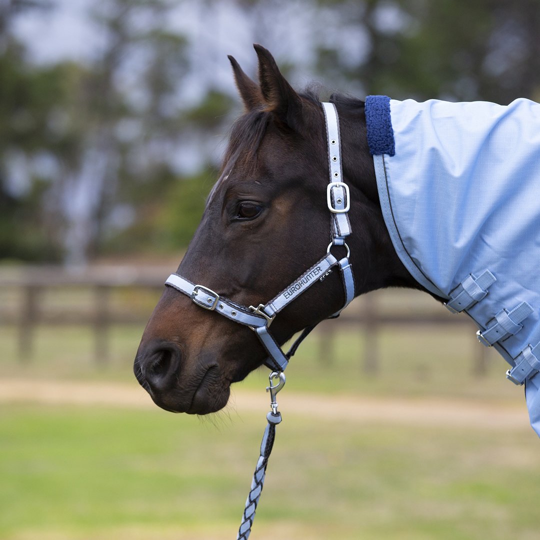 Eurohunter Embroided Halter & Lead Set