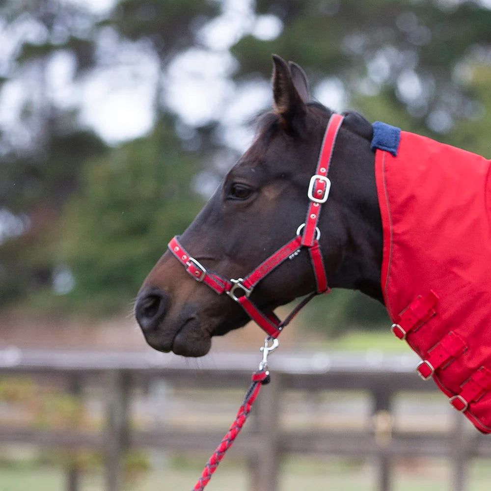 Eurohunter Embriodered Halter and Lead Navy/Red Pony