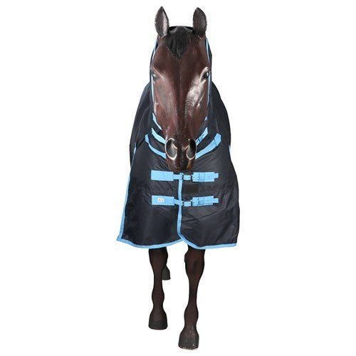 Winter Combo 600D/200Gm Navy/Blue