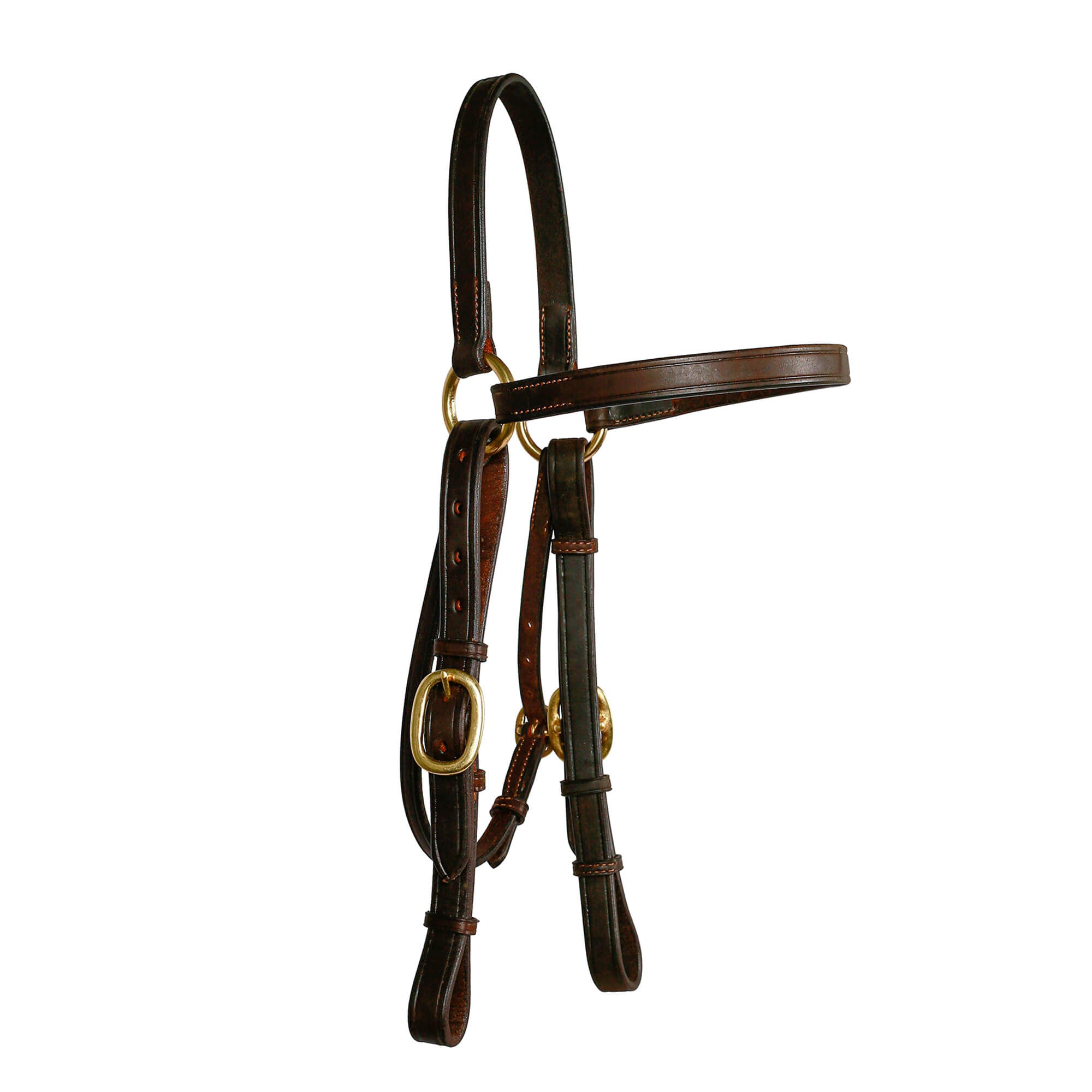Syd Hill Barcoo Bridle Head