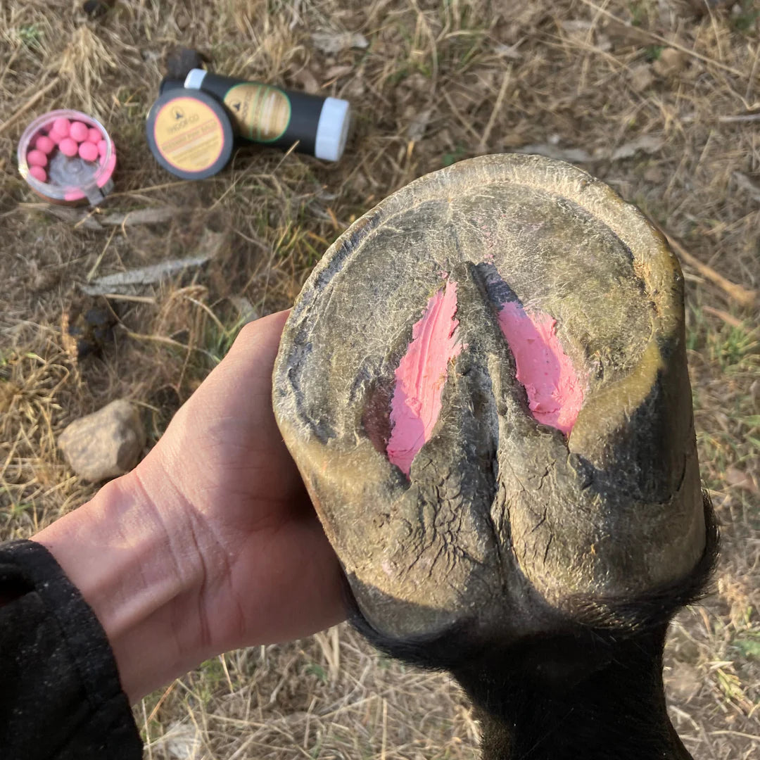 The Hoof Co Beeswax Pink Balls for Thrush Management