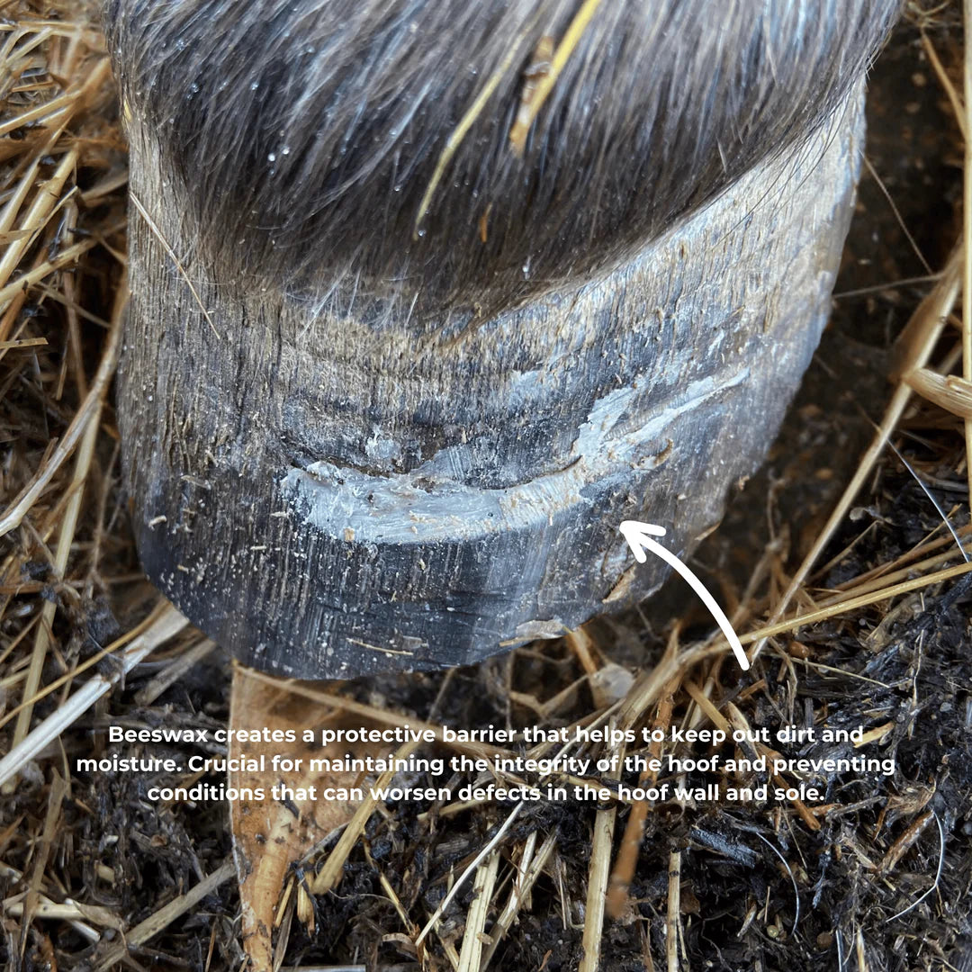 The Hoof Co Beeswax PURE Balls - Hoof defect management