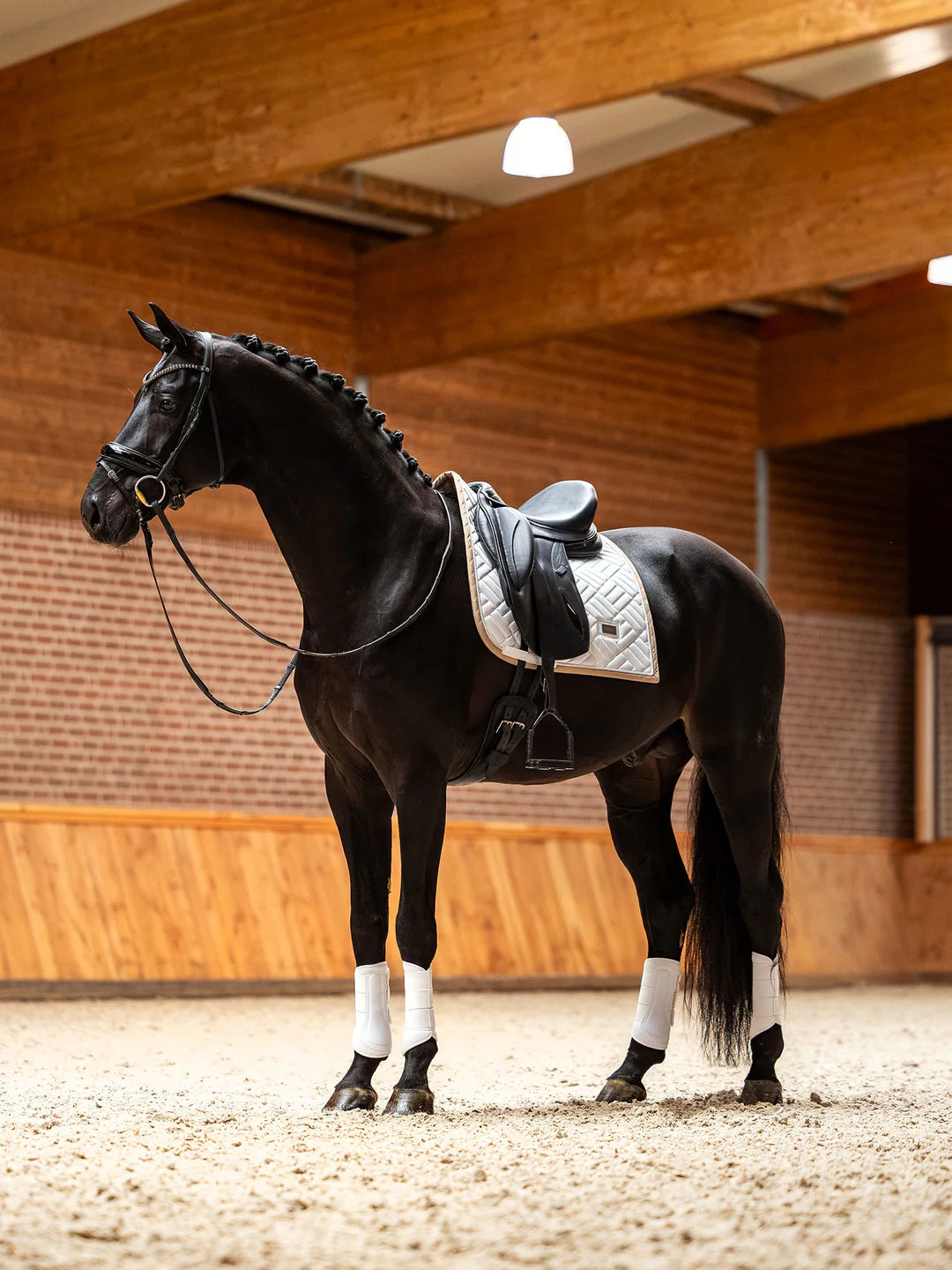 Equestrian Stockholm Dressage Saddle Pad Modern White Sand