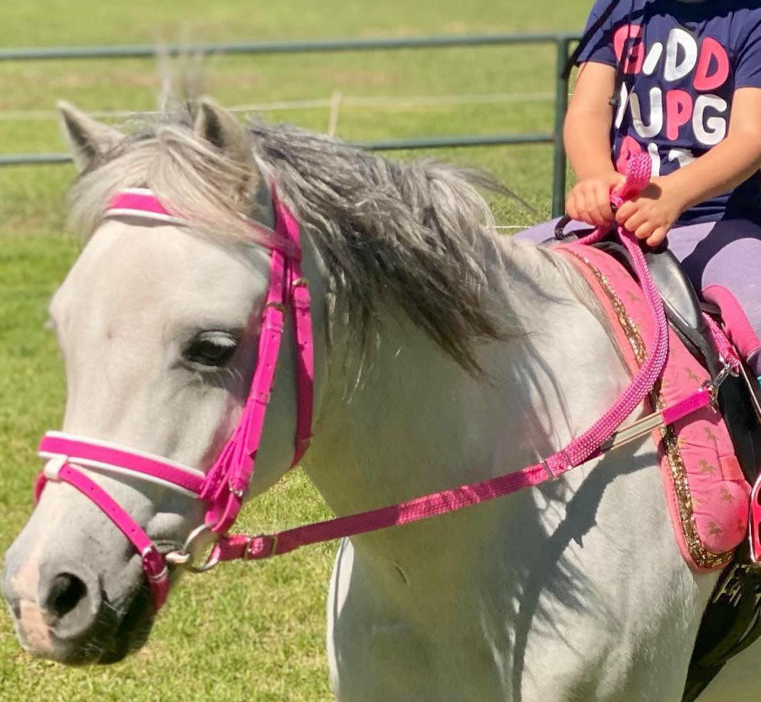 Contact Training Reins w Braided Nylon