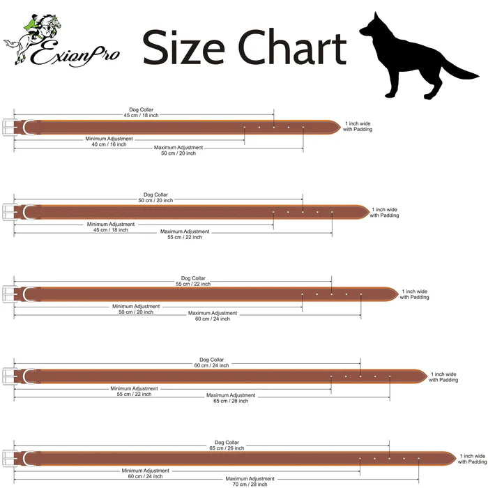 ExionPro Fancy Stitched Leather Dog Collar