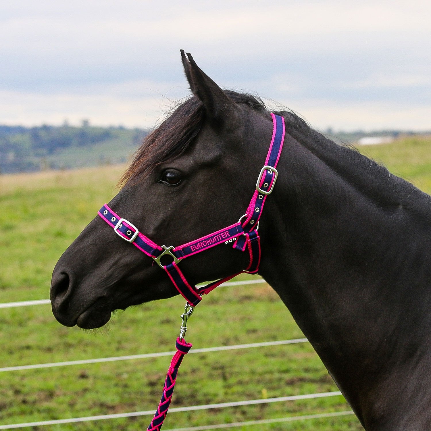Eurohunter Embroided Halter & Lead Set