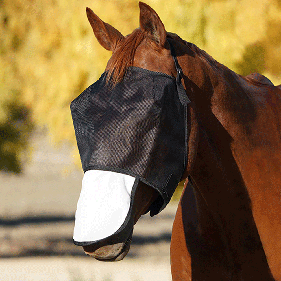 Flyveil by Design - Flyveil with Cotton Nose