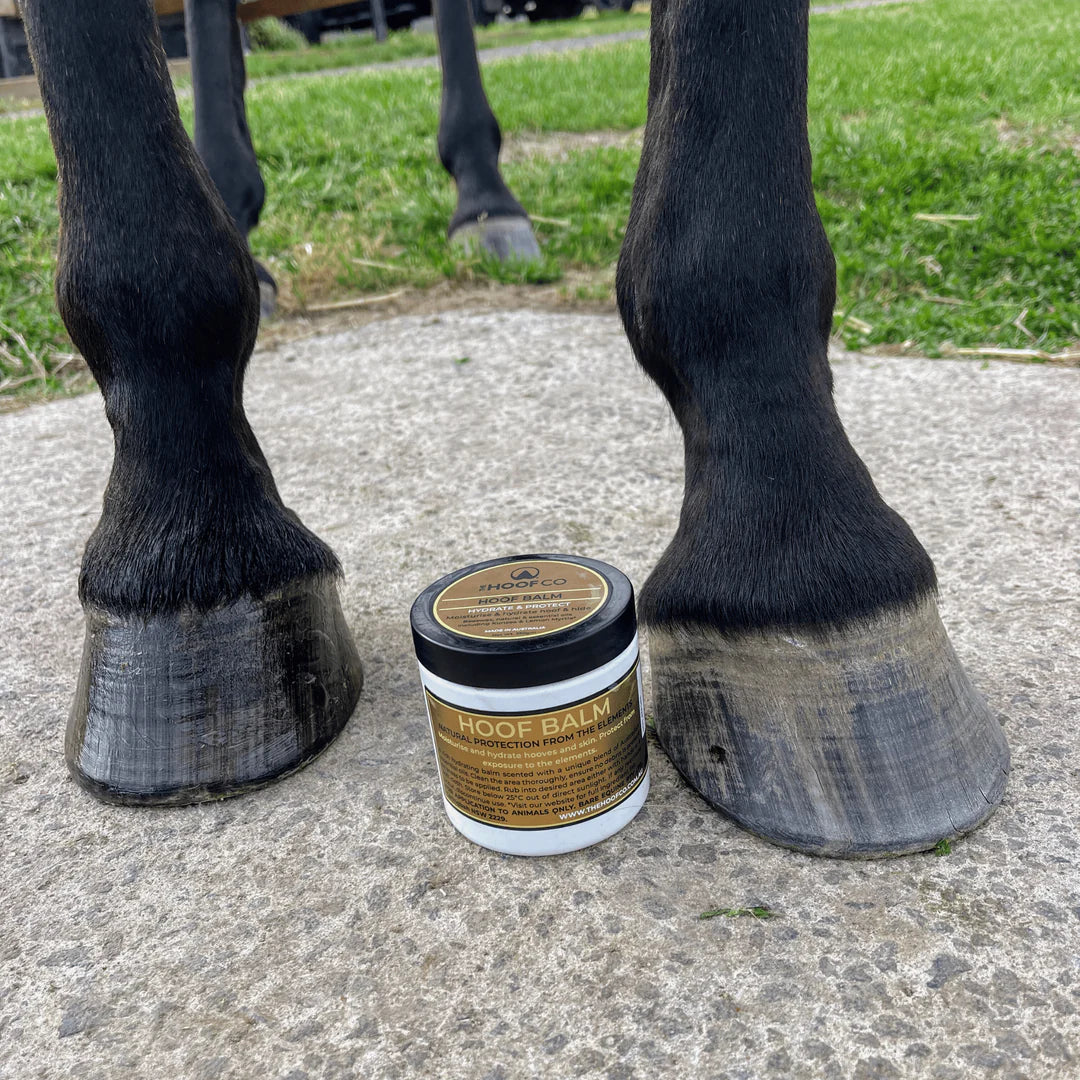 The Hoof Co Hoof Balm- Lube those hooves